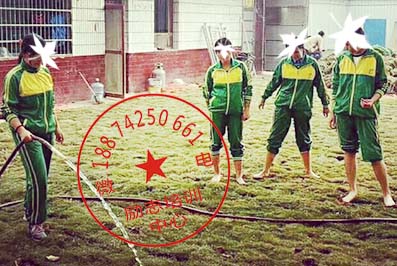 青少年适应能力培训学校 青少年适应能力培训学校