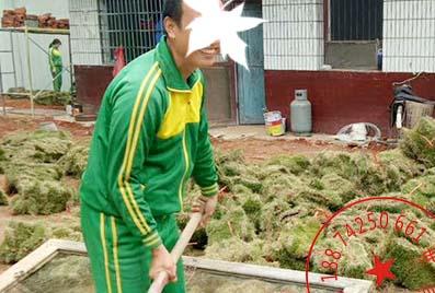 孩子网瘾教育学校