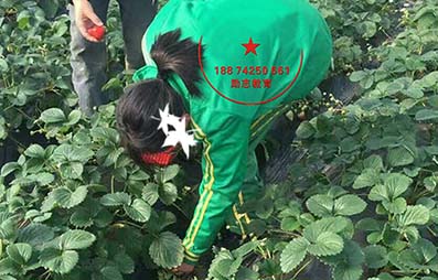 早恋女孩教育学校