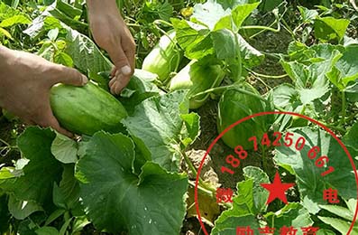 叛逆孩子全封闭学校