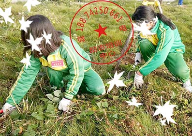 河南青少年管教学校-文武学校 河南青少年管教学校-文武学校