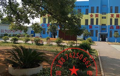 正规叛逆孩子学校