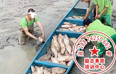 怎么缓解家长和孩子之间的紧张关系-专业家庭教育机构
