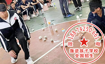 正规叛逆孩子教育学校机构 正规叛逆孩子教育学校机构