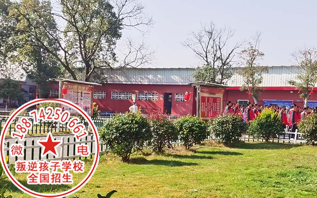 湖南正规特训学校 湖南正规特训学校