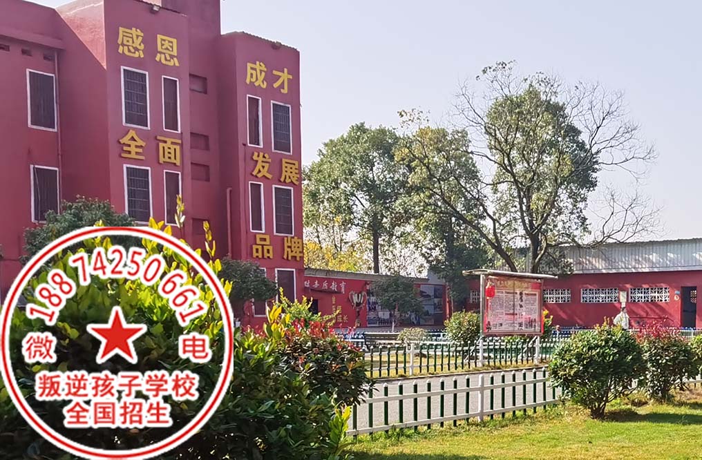 不读书的孩子送去什么样的特训学校才好 不读书的孩子送去什么样的特训学校才好