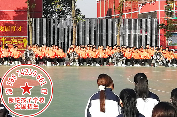 山东素质教育学校