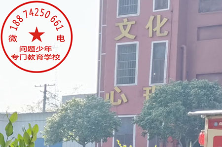 西藏青少年戒网瘾学校