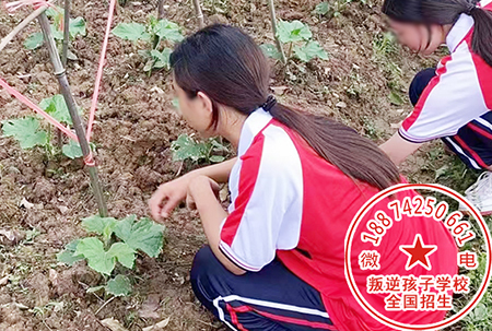 郴州市青少年素质教育培训学校