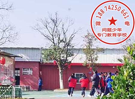 湖南郴州青少年心理辅导学校