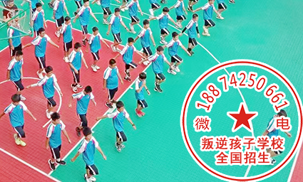 湖南专门戒网瘾学校