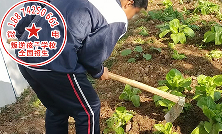 山西青少年教育学校