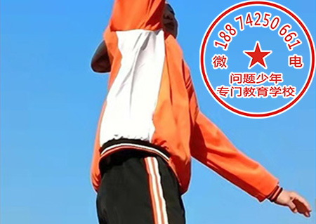 青少年行为训练学校怎么收费